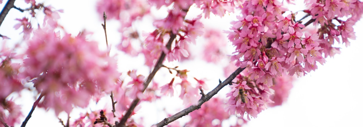 https://cn-sy1.rains3.com/ntblog/2026/05/material-demo-photo-1574191942747-140df1f9c477.jpeg