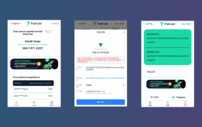 【站长亲测】二开版多语言贷款秒U系统/usdt借贷授权/贷款盗U源码