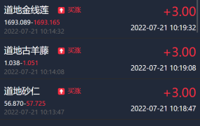 【站长亲测】海外多语言/微交易系统/微盘源码/K线正常/投资理财源码/完美运行