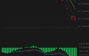 【站长亲测】出海版理财系统/外汇微盘系统/余额宝/六种语言/完美运行