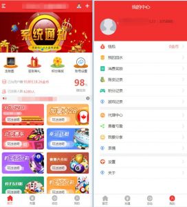 图片[1]-NET开发的幸运28程序源码下载,无需授权带搭建视频教程-源码社-精品源码聚集地