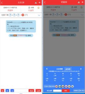 图片[4]-NET开发的幸运28程序源码下载,无需授权带搭建视频教程-源码社-精品源码聚集地