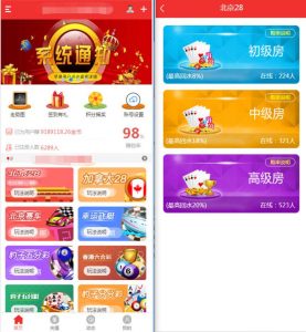 NET开发的幸运28程序源码下载,无需授权带搭建视频教程-源码社-精品源码聚集地