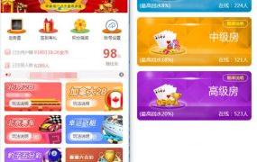 NET开发的幸运28程序源码下载,无需授权带搭建视频教程